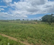 EXCELENTES ÁREAS DE 150.000,00 M² NO PARQUE SANTOS DUMONT