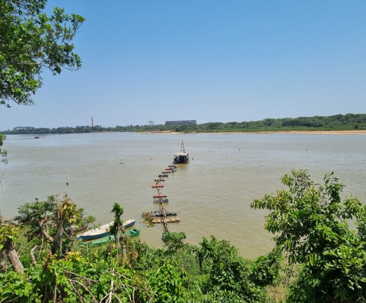 UM AREAL NA BR-356 (CAMPOS x SÃO JOÃO DA BARRA)