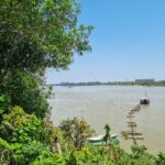 UM AREAL NA BR-356 (CAMPOS x SÃO JOÃO DA BARRA)