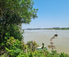 UM AREAL NA BR-356 (CAMPOS x SÃO JOÃO DA BARRA)