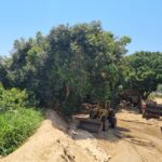 UM AREAL NA BR-356 (CAMPOS x SÃO JOÃO DA BARRA)