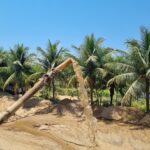 UM AREAL NA BR-356 (CAMPOS x SÃO JOÃO DA BARRA)