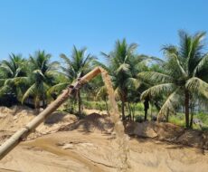 UM AREAL NA BR-356 (CAMPOS x SÃO JOÃO DA BARRA)