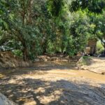 UM AREAL NA BR-356 (CAMPOS x SÃO JOÃO DA BARRA)