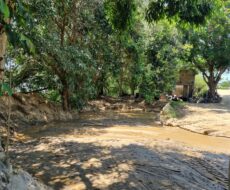 UM AREAL NA BR-356 (CAMPOS x SÃO JOÃO DA BARRA)