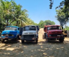 UM AREAL NA BR-356 (CAMPOS x SÃO JOÃO DA BARRA)