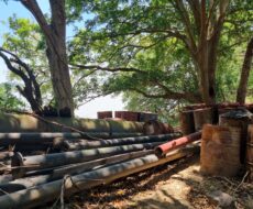 UM AREAL NA BR-356 (CAMPOS x SÃO JOÃO DA BARRA)