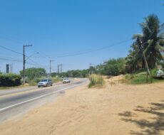 UM AREAL NA BR-356 (CAMPOS x SÃO JOÃO DA BARRA)