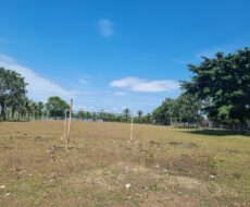 ÁREA COM 65.000,00 M² NA BR-101 (CAMPOS x VITÓRIA),