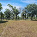 ÁREA COM 65.000,00 M² NA BR-101 (CAMPOS x VITÓRIA),