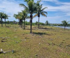 ÁREA COM 65.000,00 M² NA BR-101 (CAMPOS x VITÓRIA),