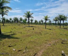 ÁREA COM 65.000,00 M² NA BR-101 (CAMPOS x VITÓRIA),