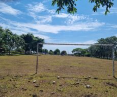 ÁREA COM 65.000,00 M² NA BR-101 (CAMPOS x VITÓRIA),