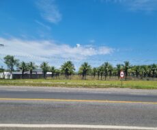 ÁREA COM 65.000,00 M² NA BR-101 (CAMPOS x VITÓRIA),