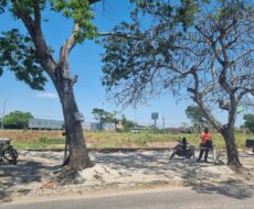 ÁREA COM 14.849,00 M² NA BR-101