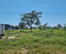 ÁREA COM 14.849,00 M² NA BR-101