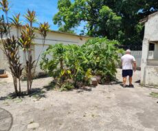 CASA NA RUA BARONESA DA LAGOA DOURADA, Nº CENTRO.