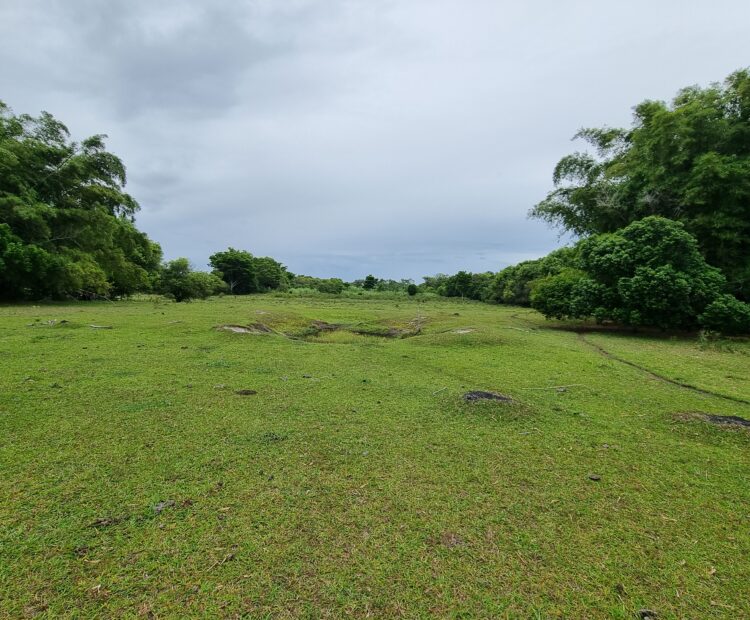 ÁREA COMERCIAL COM 132.616,00M², EM CAMPO DA PRAIA, NA RJ 240 ESTRADA DO PORTO DO AÇU