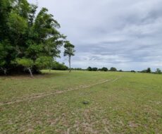 ÁREA COMERCIAL COM 132.616,00M², EM CAMPO DA PRAIA, NA RJ 240 ESTRADA DO PORTO DO AÇU