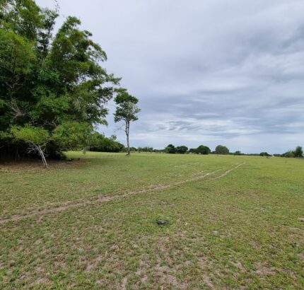 ÁREA COMERCIAL COM 132.616,00M², EM CAMPO DA PRAIA, NA RJ 240 ESTRADA DO PORTO DO AÇU