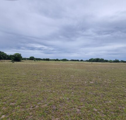 ÁREA COMERCIAL COM 132.616,00M², EM CAMPO DA PRAIA, NA RJ 240 ESTRADA DO PORTO DO AÇU