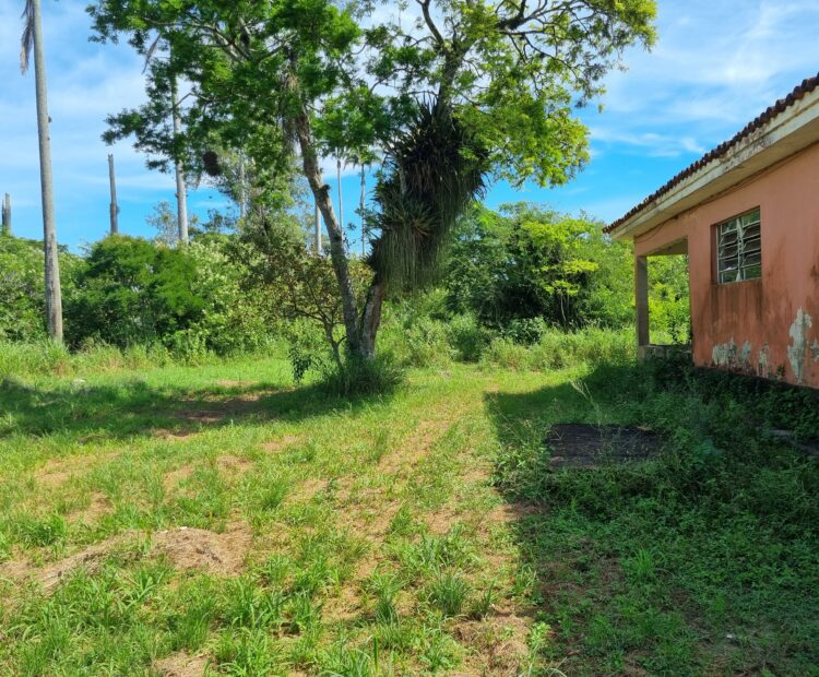 EXCELENTE ÁREA URBANA DE 65.500,00 M², NA TAPERA.