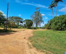 EXCELENTE ÁREA URBANA DE 65.500,00 M², NA TAPERA.