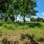 EXCELENTE ÁREA URBANA DE 65.500,00 M², NA TAPERA.