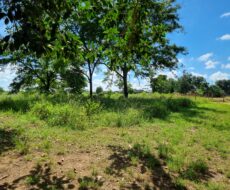 EXCELENTE ÁREA URBANA DE 65.500,00 M², NA TAPERA.