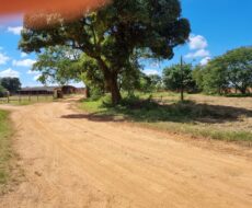 EXCELENTE ÁREA URBANA DE 65.500,00 M², NA TAPERA.