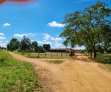 EXCELENTE ÁREA URBANA DE 65.500,00 M², NA TAPERA.