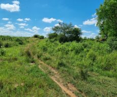 EXCELENTE ÁREA URBANA DE 65.500,00 M², NA TAPERA.