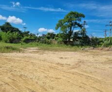 EXCELENTE ÁREA URBANA DE 65.500,00 M², NA TAPERA.