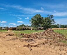 EXCELENTE ÁREA URBANA DE 65.500,00 M², NA TAPERA.