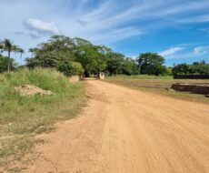 EXCELENTE ÁREA URBANA DE 65.500,00 M², NA TAPERA.