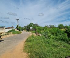 EXCELENTE ÁREA URBANA DE 65.500,00 M², NA TAPERA.