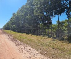 ÁREA COMERCIAL DE 30.000,00 M² NA ESTRA DO BREJO GRANDE