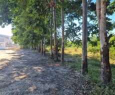 ÁREA COMERCIAL DE 30.000,00 M² NA ESTRA DO BREJO GRANDE