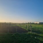 9 alqueires mais ou menos, de frente para a estrada sentido Venda Nova,