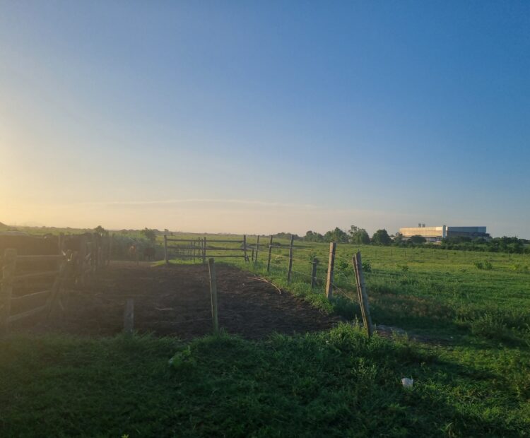 9 alqueires mais ou menos, de frente para a estrada sentido Venda Nova,