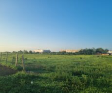 9 alqueires mais ou menos, de frente para a estrada sentido Venda Nova,