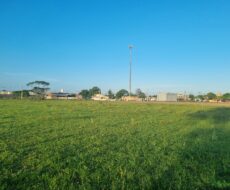 9 alqueires mais ou menos, de frente para a estrada sentido Venda Nova,