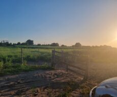 9 alqueires mais ou menos, de frente para a estrada sentido Venda Nova,