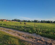 9 alqueires mais ou menos, de frente para a estrada sentido Venda Nova,