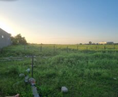 9 alqueires mais ou menos, de frente para a estrada sentido Venda Nova,