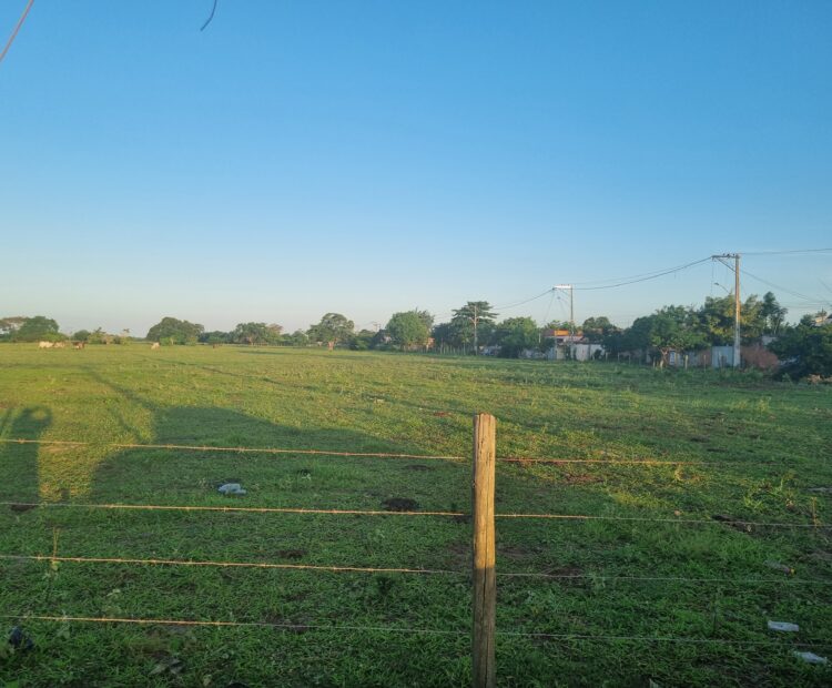 SÍTIO DE 3,5 ALQUEIRES EM CAMPO NOVO