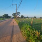 SÍTIO DE 3,5 ALQUEIRES EM CAMPO NOVO