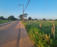 SÍTIO DE 3,5 ALQUEIRES EM CAMPO NOVO