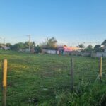 SÍTIO DE 3,5 ALQUEIRES EM CAMPO NOVO