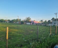 SÍTIO DE 3,5 ALQUEIRES EM CAMPO NOVO